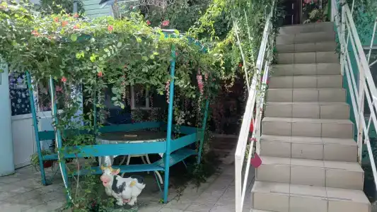 Вишневый Сад - 2