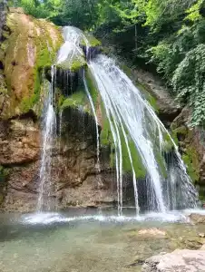 Лонгвина - 82