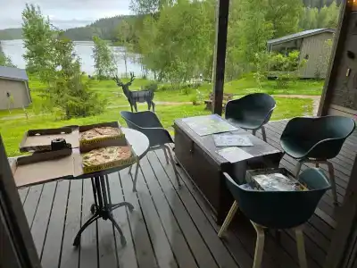 Карельские Лага - 43