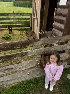 Карельские Лага - 44