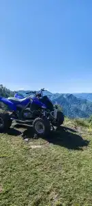 Крассула - 11