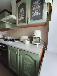 Сирин дом - 49