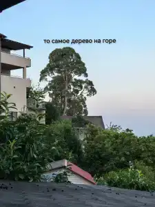 У Роберта - 36