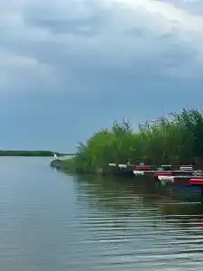 Дача - 4