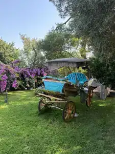 Triada Büyükada - 5