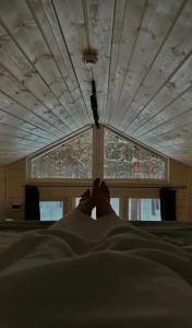 Сосны. Пространствие - 54