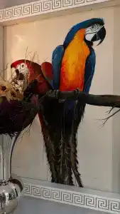 Club Big Blue Suit - All Inclusive - 37