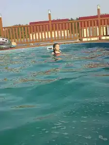Фламинго - 31