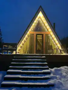 Хвойный Лес - 66