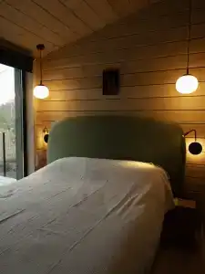 Betula - 72