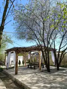 Васильевка - 94