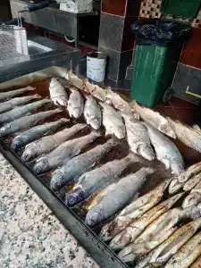 Saritas Only FamİLy Concept - 46