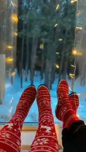 Домики в лесу - 4