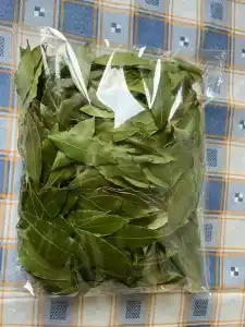 Турдагестан - 35