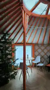 Снегири - 2