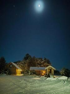 Челмужская усадьба - 69