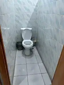 Чинар - 19