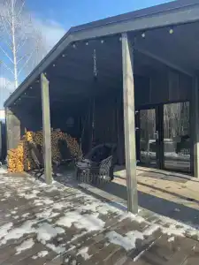 Betula - 45