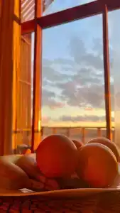 Фридом Веселовка - 52