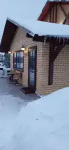 Снегири - 33