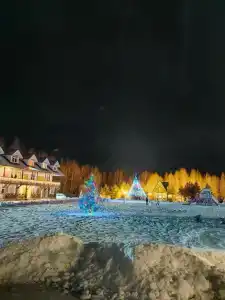 Теремок на денёк - 25