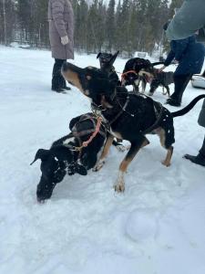 Огни Имандры - 71