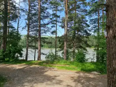 Эдельвейс - 7