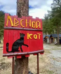 Лесной Кот - 2