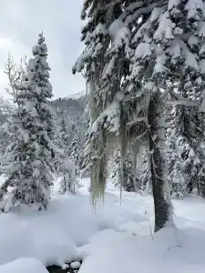 Мамай Байкал - 18