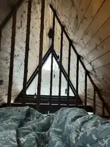 Ильинка лес - 43