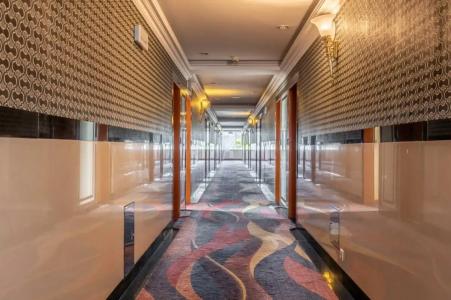 Gołębiewski Białystok - 36