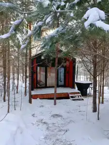 Сосны. Пространствие - 51