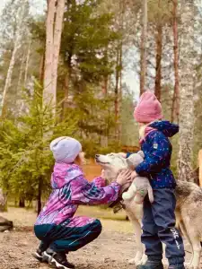 Лесная сказка - 22