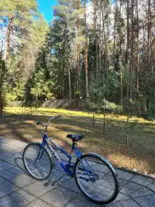 Янтарь - 46