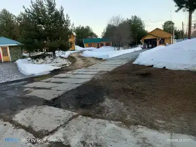 Зеленый Бор - 14