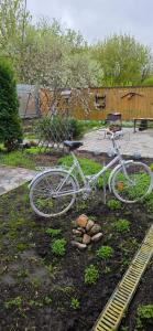 Валентайн - 9