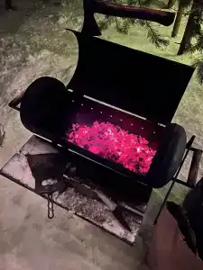 Forest camp - 17