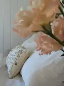 Добро и Лес - 37