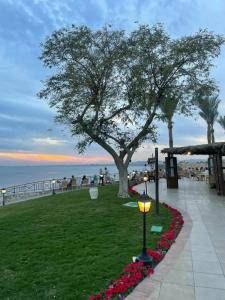 Jaz Fanara Residence - 29