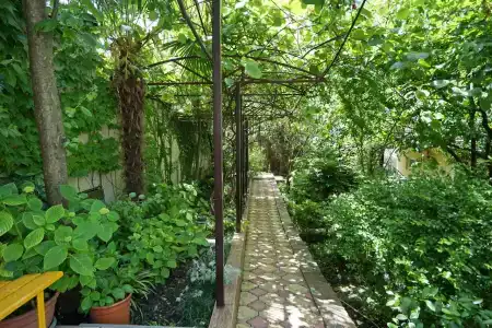 Пальмира - 12