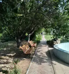 Вирджиния - 2