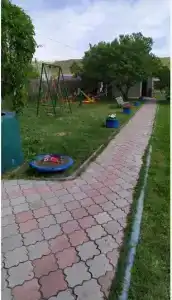 Вирджиния - 4