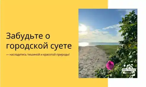 Рейд Паллада - 2