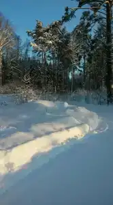 Вуокса-вирта - 51