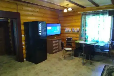 Бревенчатый дом в лесу - 8