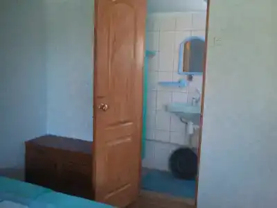 Родничок - 4