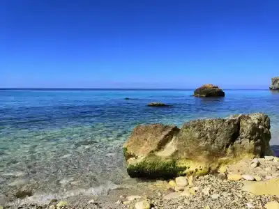 Пилот - 12