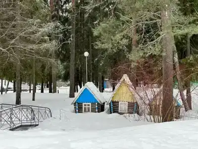 Звездочка - 8