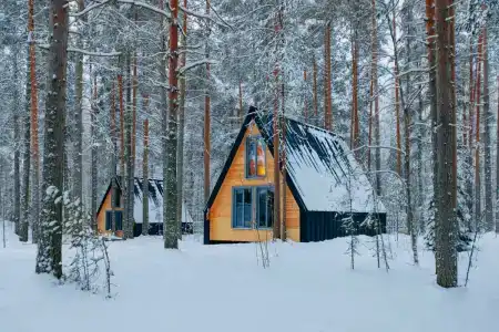 Хвоя, Карелия - 33