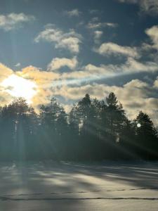 Челмужская усадьба - 97